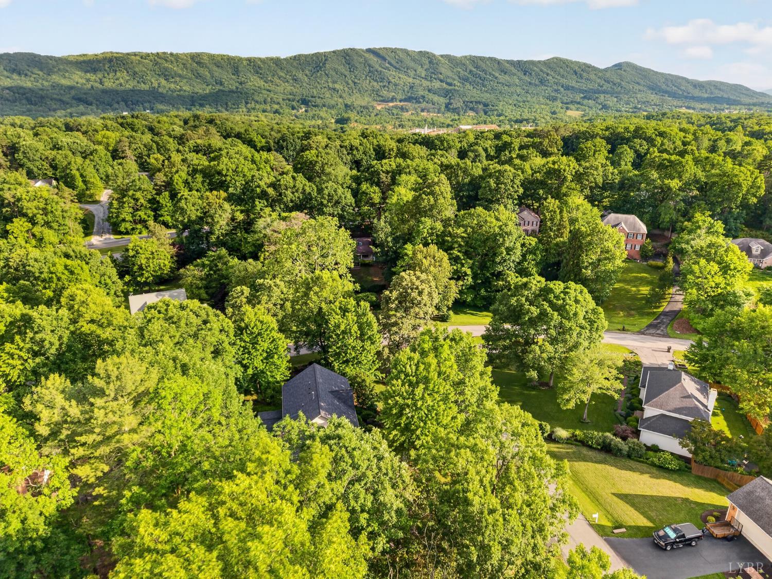 24 Queen Regent Court Blue Ridge, VA 24064 - Photo 69 of 73