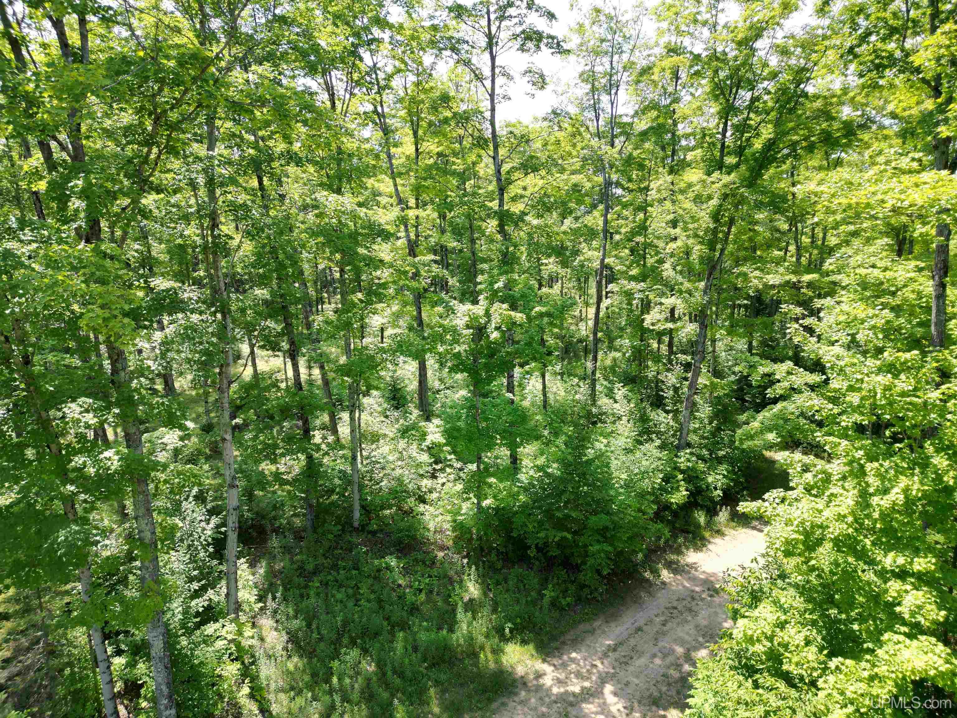 Tbd Cr 557 Road Perronville, MI 49873 - Photo 8 of 27