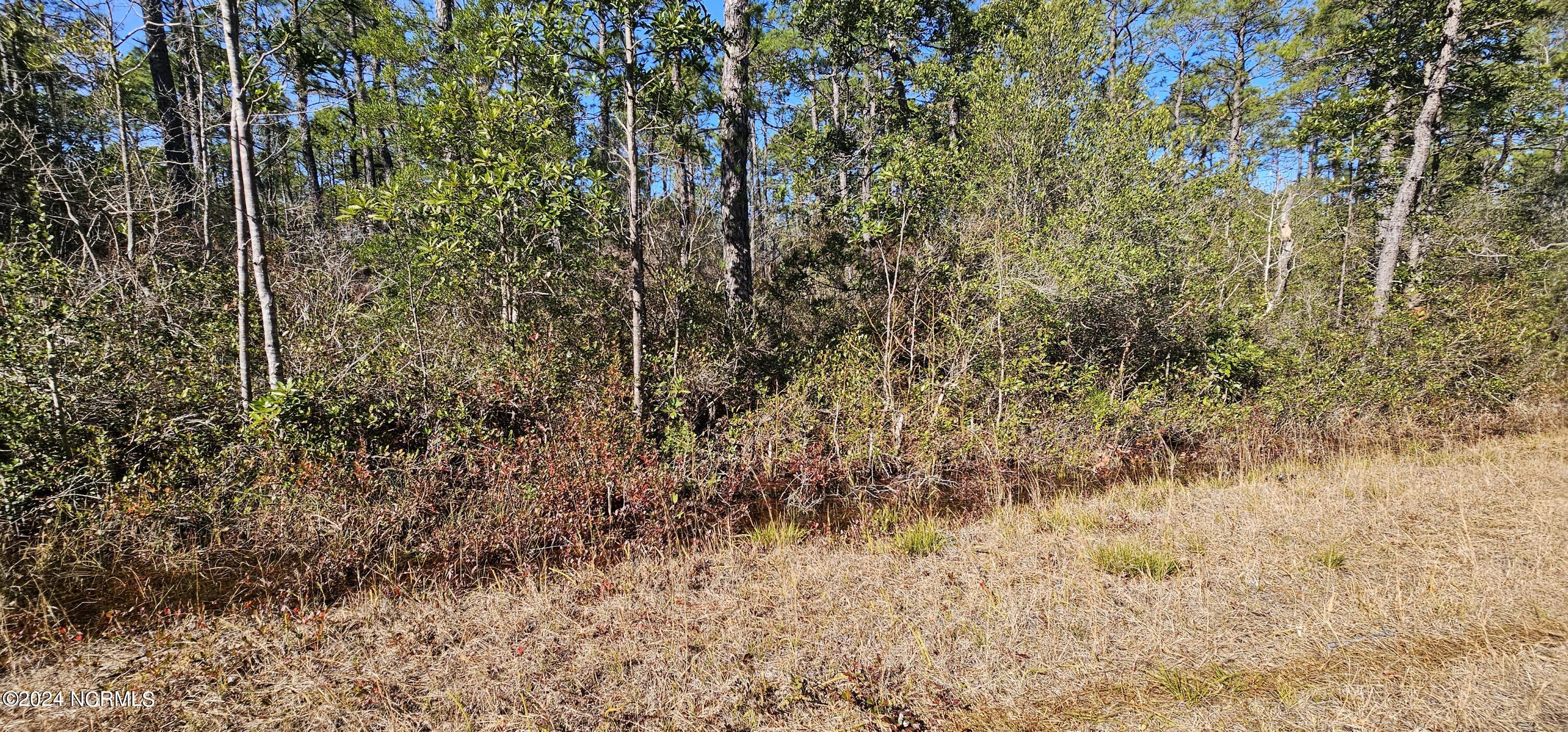 Lot 47-48 2nd Road Southport, NC 28461 - Photo 5 of 7 20240105_123524