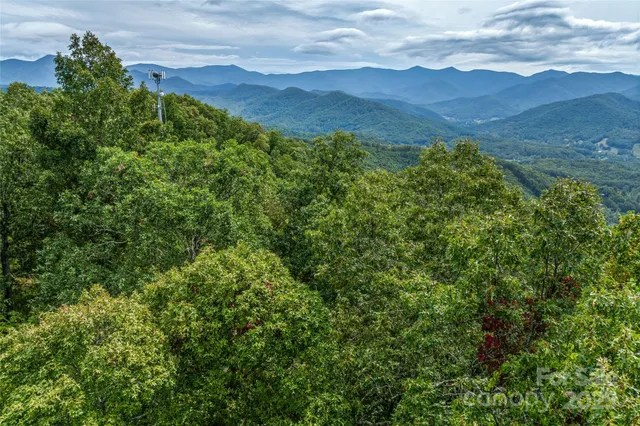 a view of a lush green forest with a mountain in the background