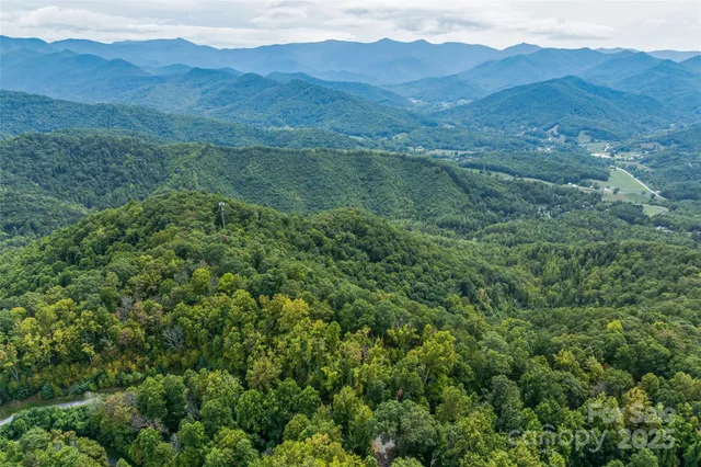 a view of a lush green hillside and a house