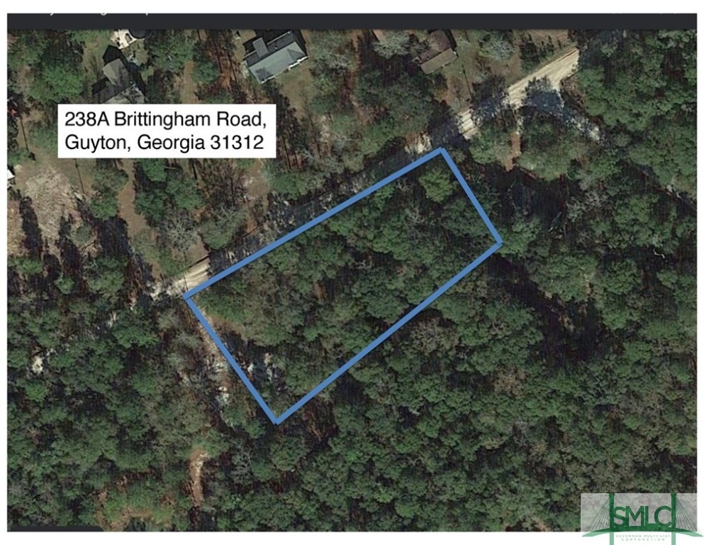 238 A Brittingham Road Guyton, GA 31312 - Photo 1 of 3