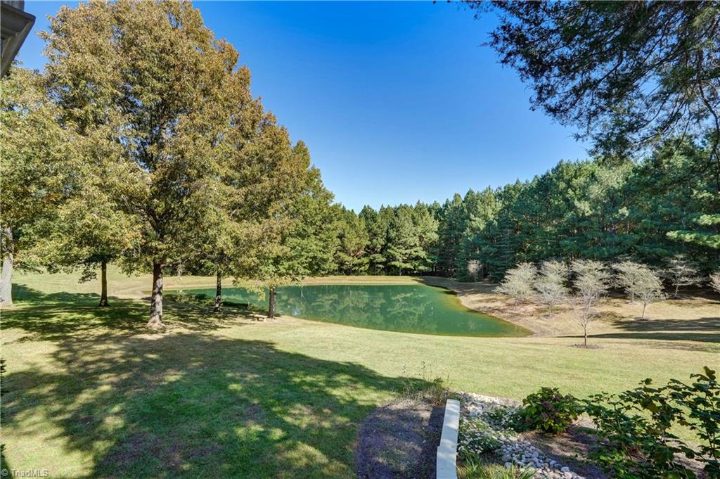445 Periwinkle Road Eden, NC 27288 - Photo 9 of 50 Gallery Image 9