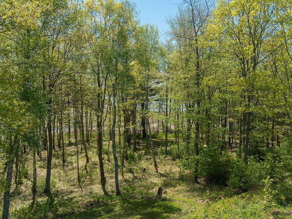 22 Collins Pattee Road Bath, ME 04530 - Photo 31 of 35 One spring day this grove of trees...