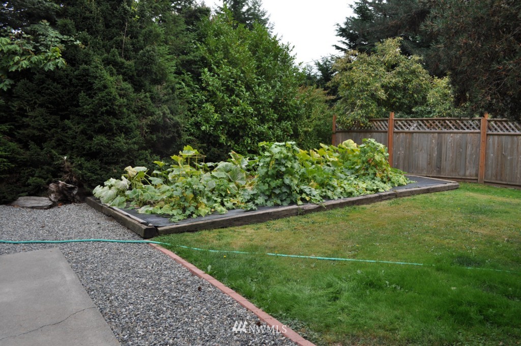 1194 Taylor Cutoff Road Sequim, WA 98382 - Photo 19 of 25