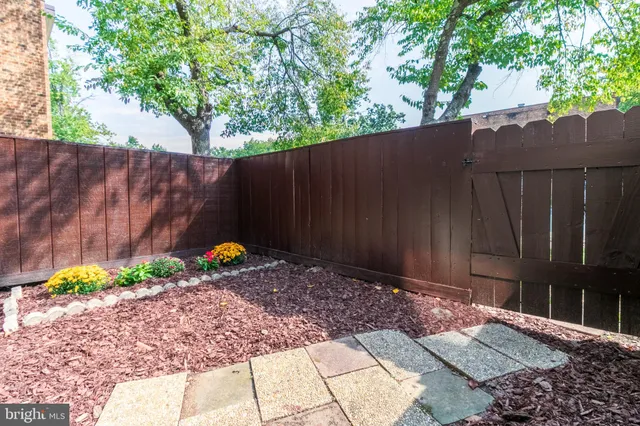 a view of a backyard