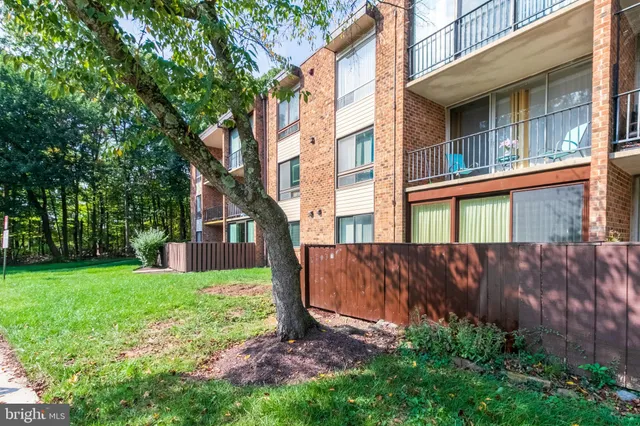 a view of a backyard with plants