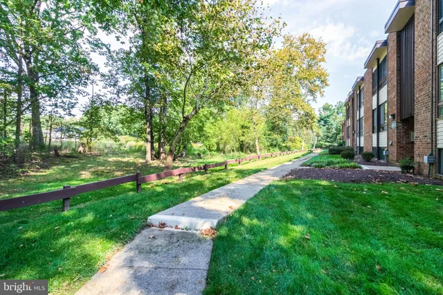 a view of a park with large trees
