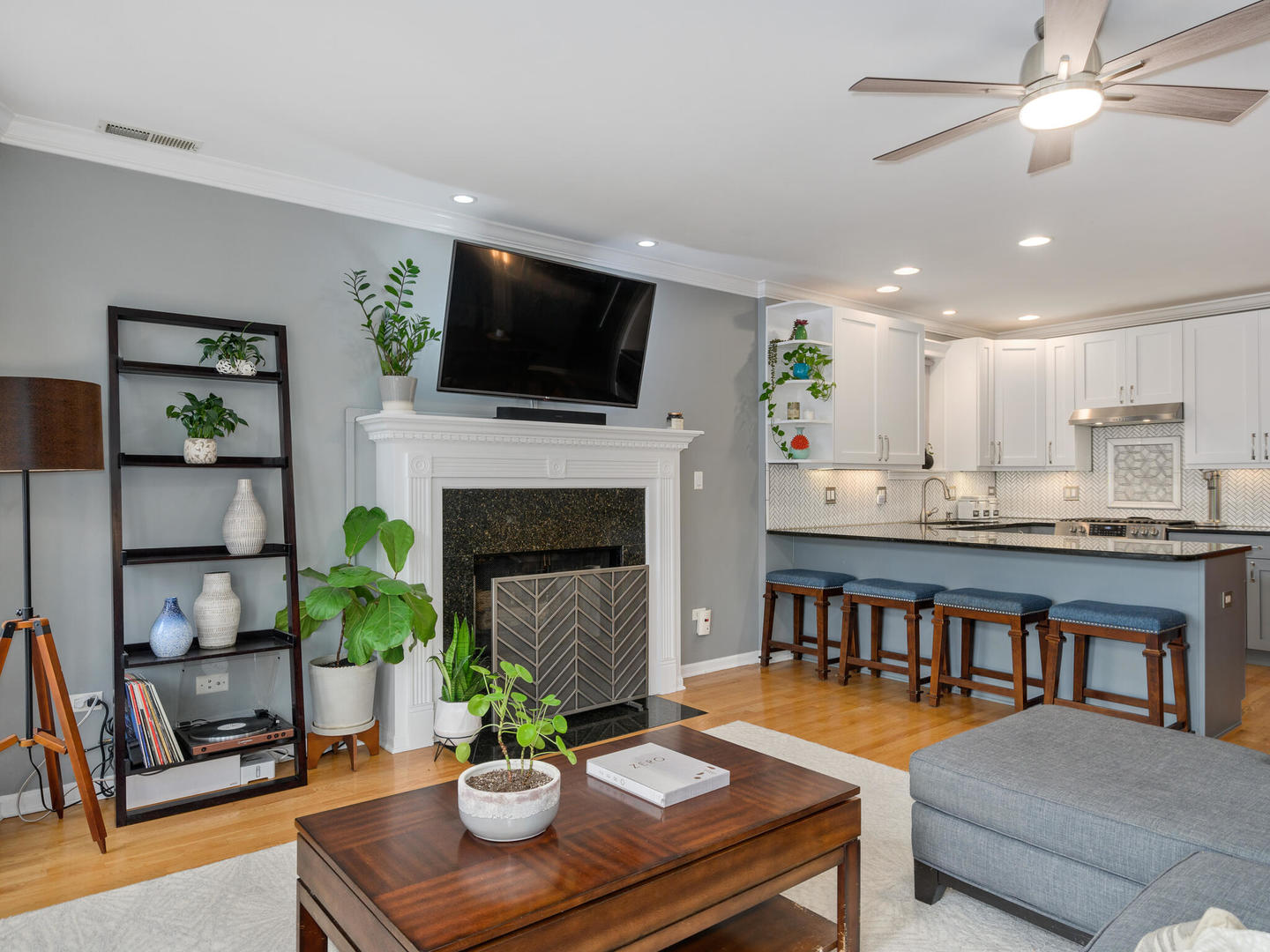 1012 North Wood Street, Unit 2 Chicago, IL 60622 - Photo 6 of 21 a living room with furniture fireplace and a flat screen tv