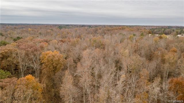 Tbd Namozine Road Sutherland, VA 23885 - Photo 1 of 5 Gallery Image 1