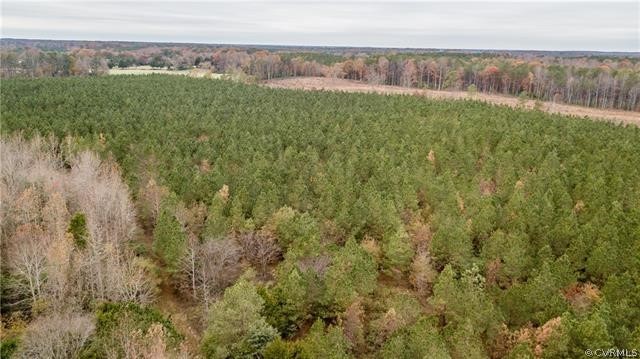 Tbd Namozine Road Sutherland, VA 23885 - Photo 3 of 5 Gallery Image 3