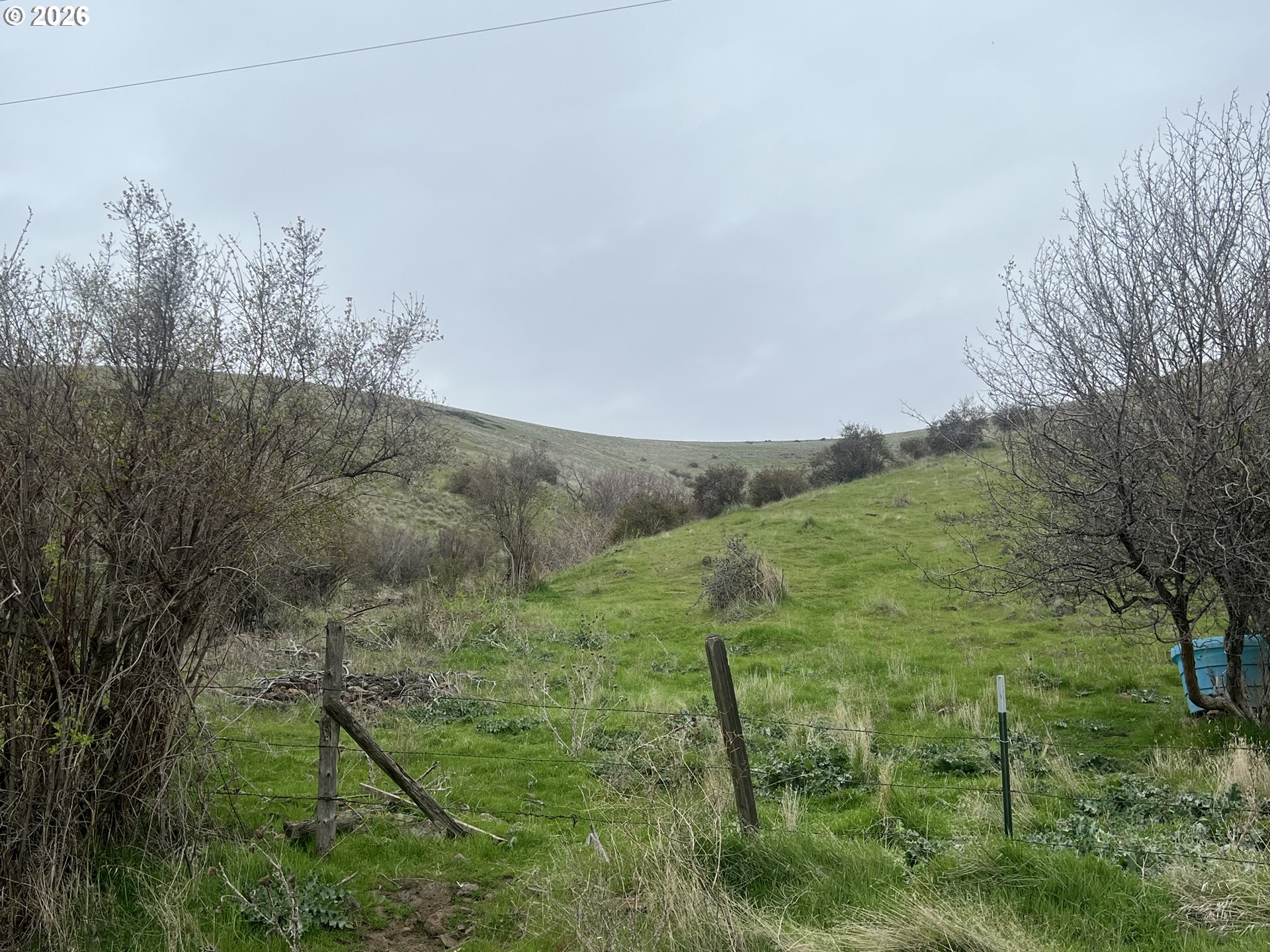 54605 Upper Dry Creek Road Weston, OR 97886 - Photo 21 of 23