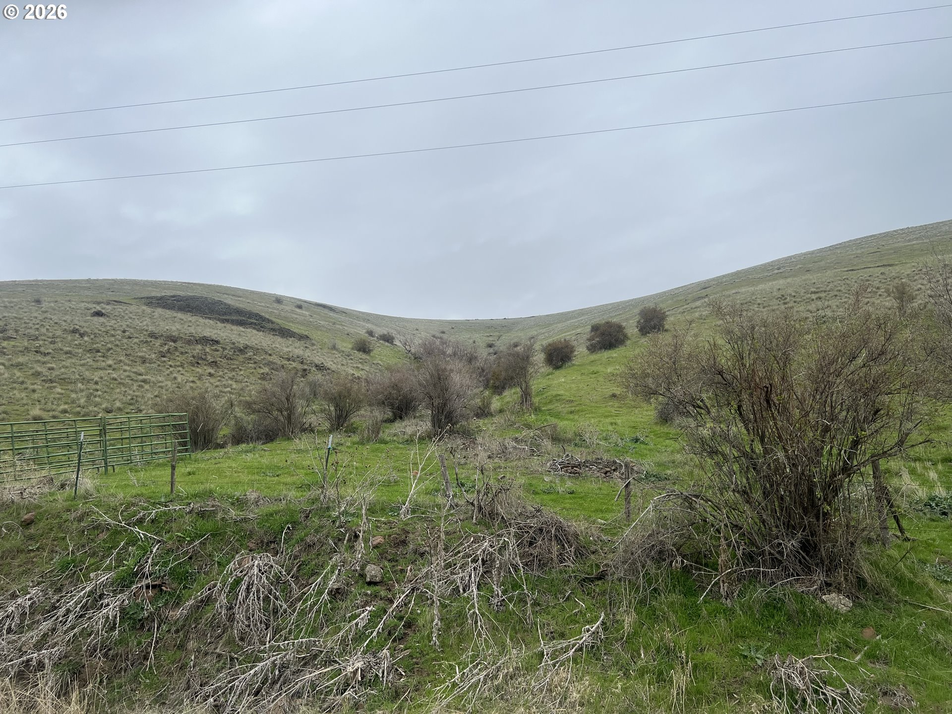 54605 Upper Dry Creek Road Weston, OR 97886 - Photo 22 of 23