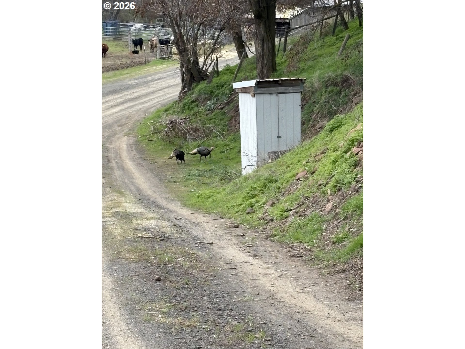 54605 Upper Dry Creek Road Weston, OR 97886 - Photo 23 of 23