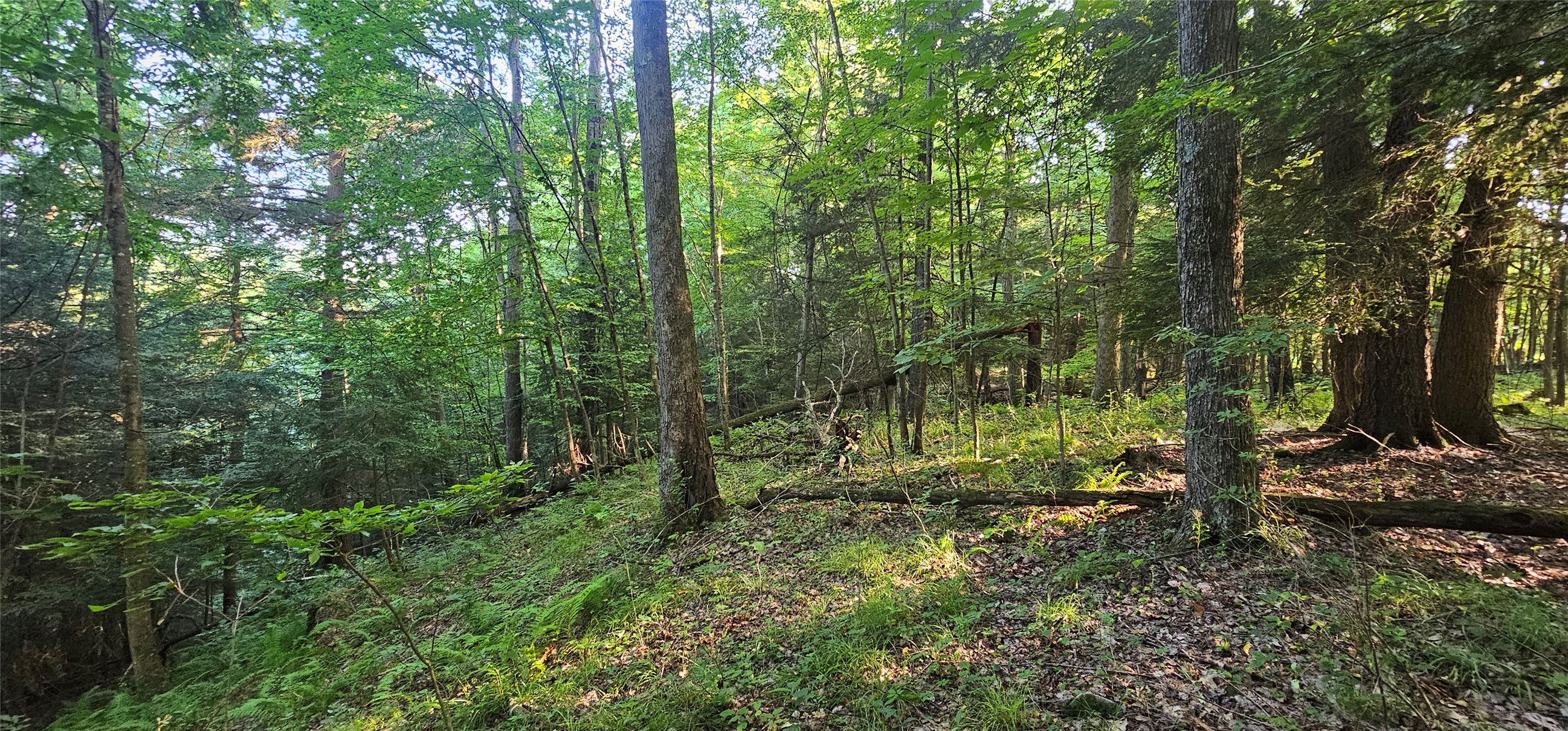 Rockland Station Road Kennerdell, PA 16374 - Photo 7 of 9 Gallery Image 7
