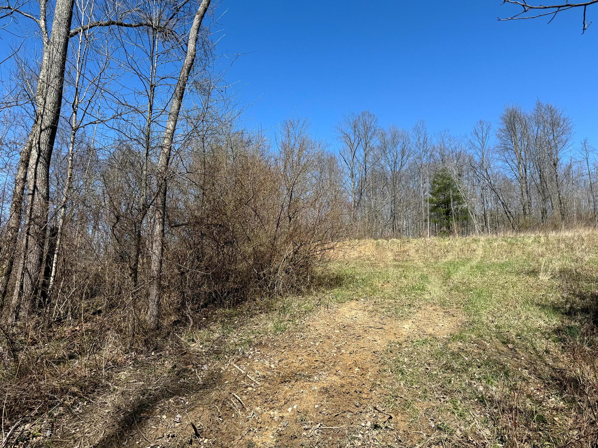 0 Dutch Ridge Road Southeast, Unit WOODS TURKEY RUN TRACT 5) New Lexington, OH 43764 - Photo 51 of 58 CT-51