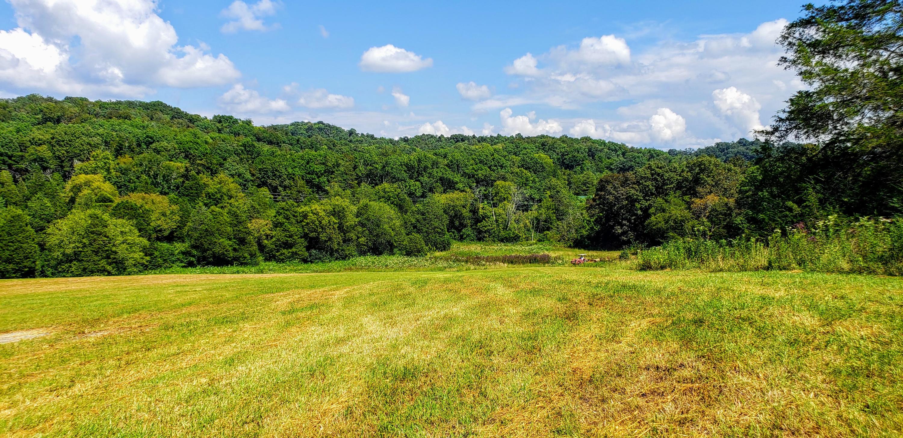 6 Marble Hill Road Greenback, TN 37742 - Photo 1 of 5 20180829_151936