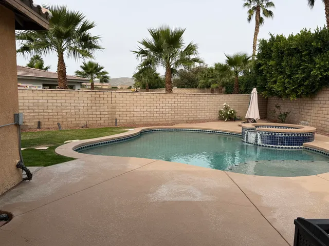 a view of a backyard with plants and palm trees