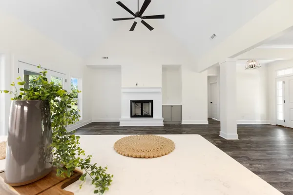 a view of a livingroom with a potted plant