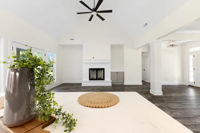 a view of a livingroom with a potted plant