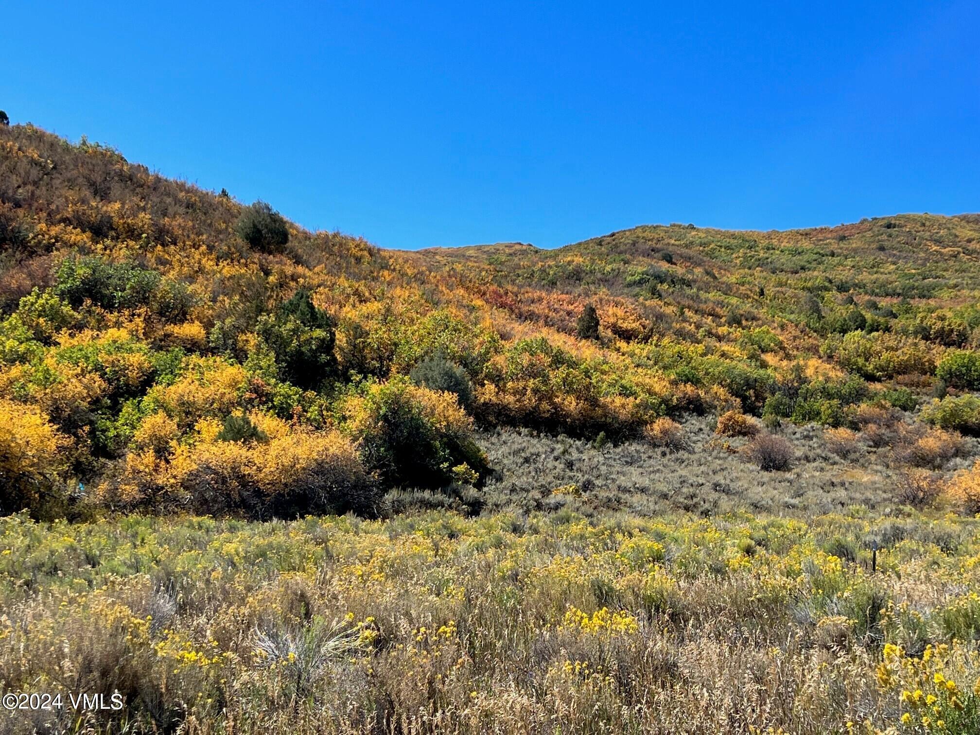 89 Borah Eagle, CO 81631 - Photo 3 of 11 Lot 17 - Fall 2022 - 7