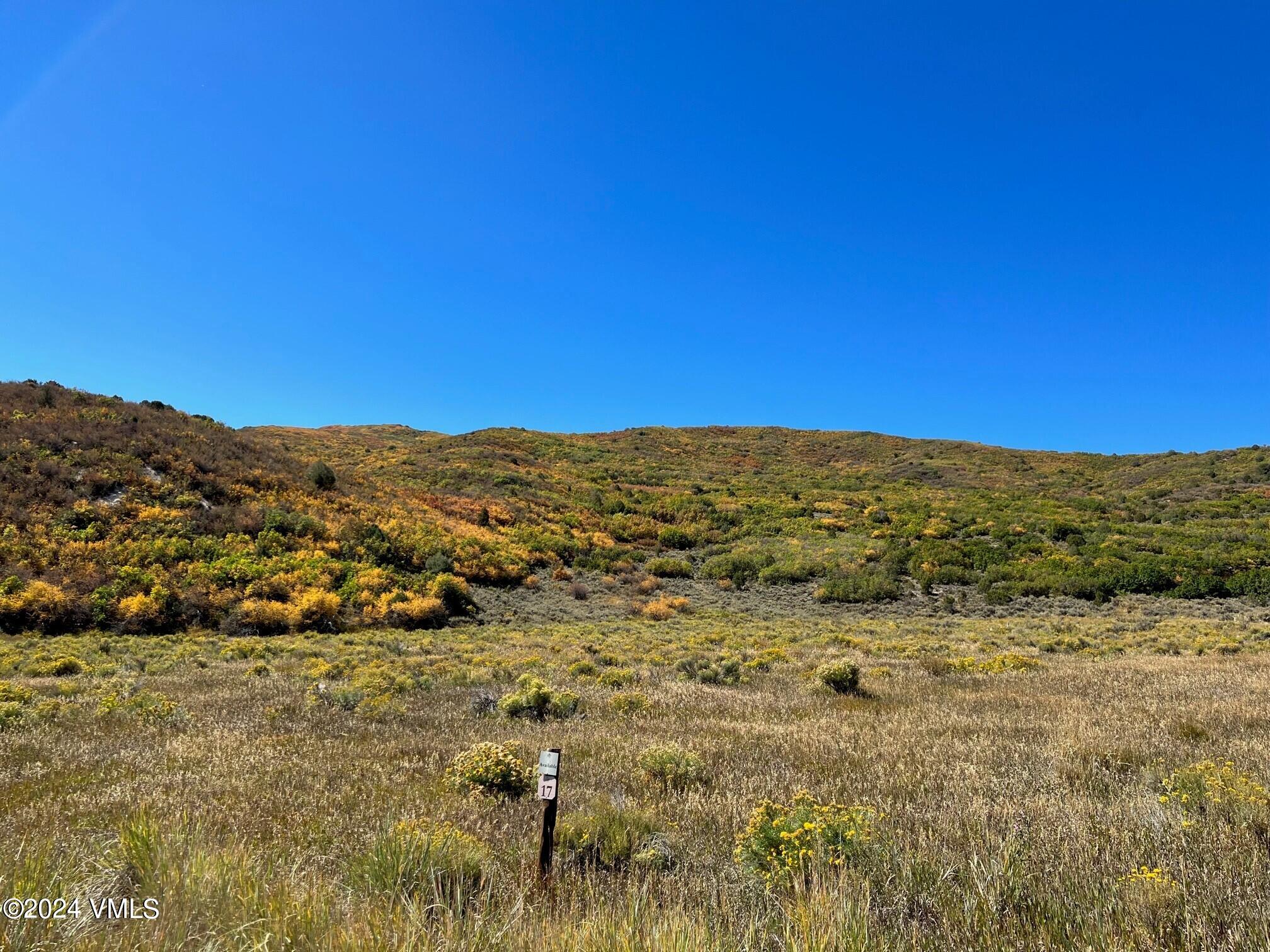 89 Borah Eagle, CO 81631 - Photo 5 of 11 Lot 17 - Fall 2022 - 1