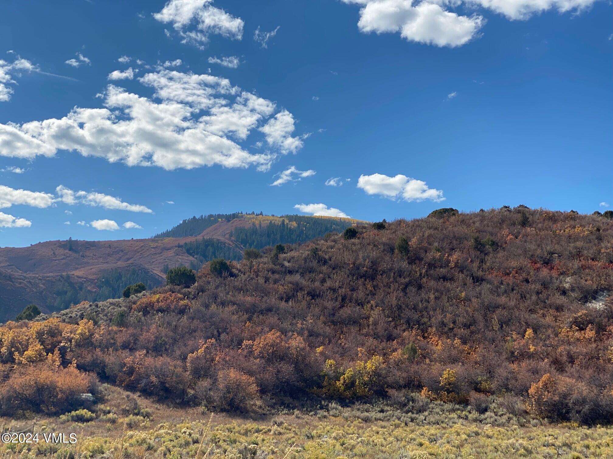 89 Borah Eagle, CO 81631 - Photo 7 of 11 Lot 17 - Photo 5