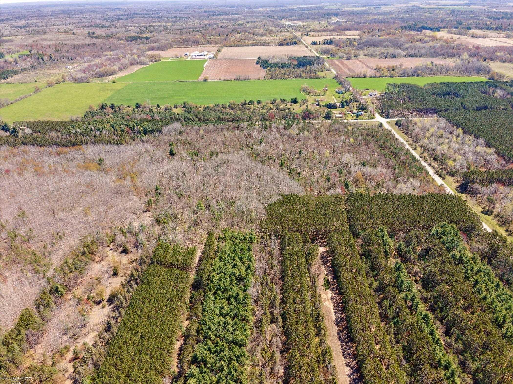 Hottis Road Whittemore, MI 48770 - Photo 17 of 21