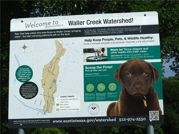 a view of a tree in a garden