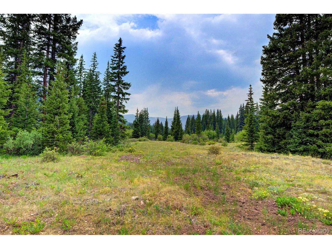 9562 Co Road Fairplay, CO 80440 - Photo 3 of 40