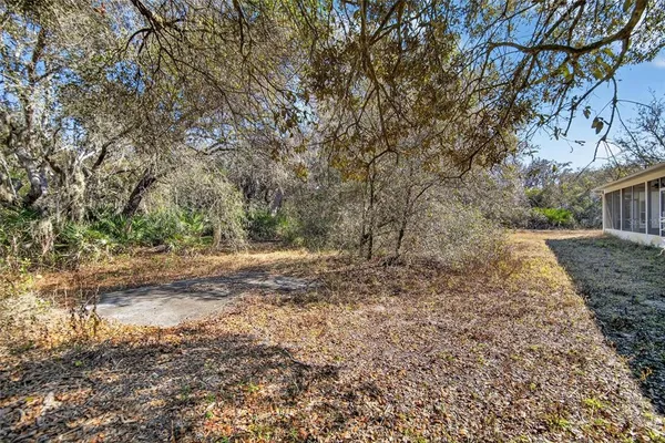a view of backyard of house