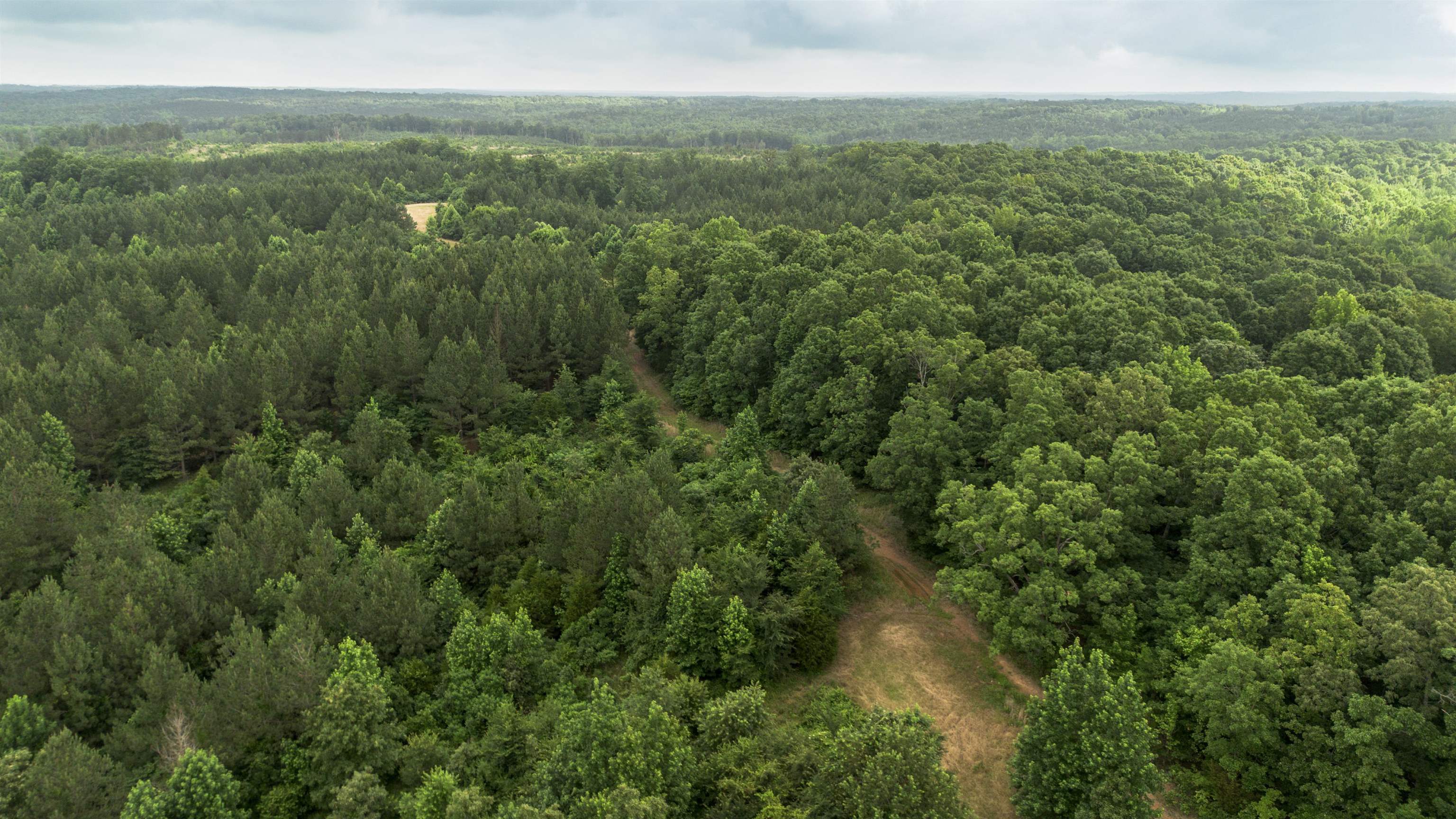 0 Pearson Road Cedar Grove, TN 38321 - Photo 2 of 4 an aerial view of residential houses with outdoor space and trees
