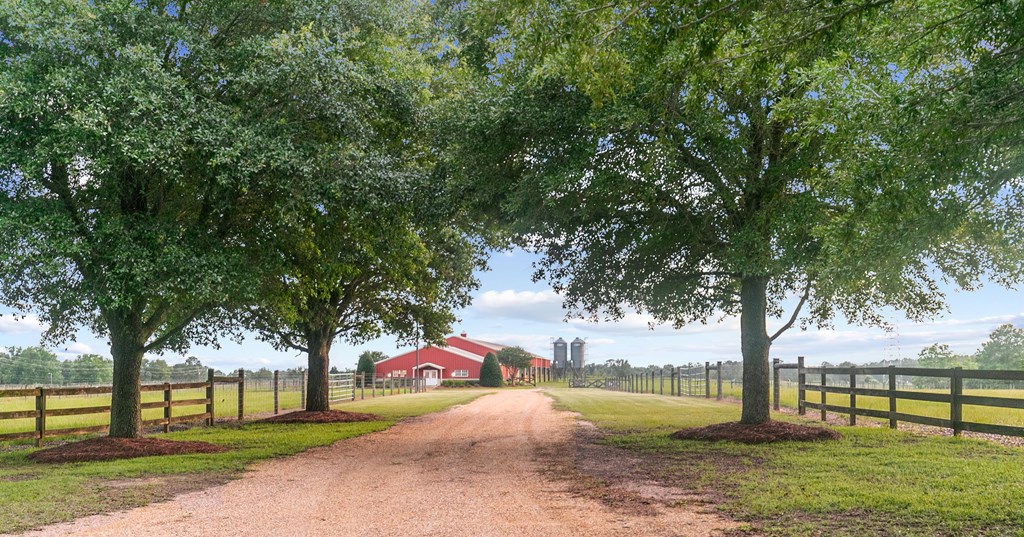 7426 Eddins Road Dothan, AL 36301 - Photo 69 of 88