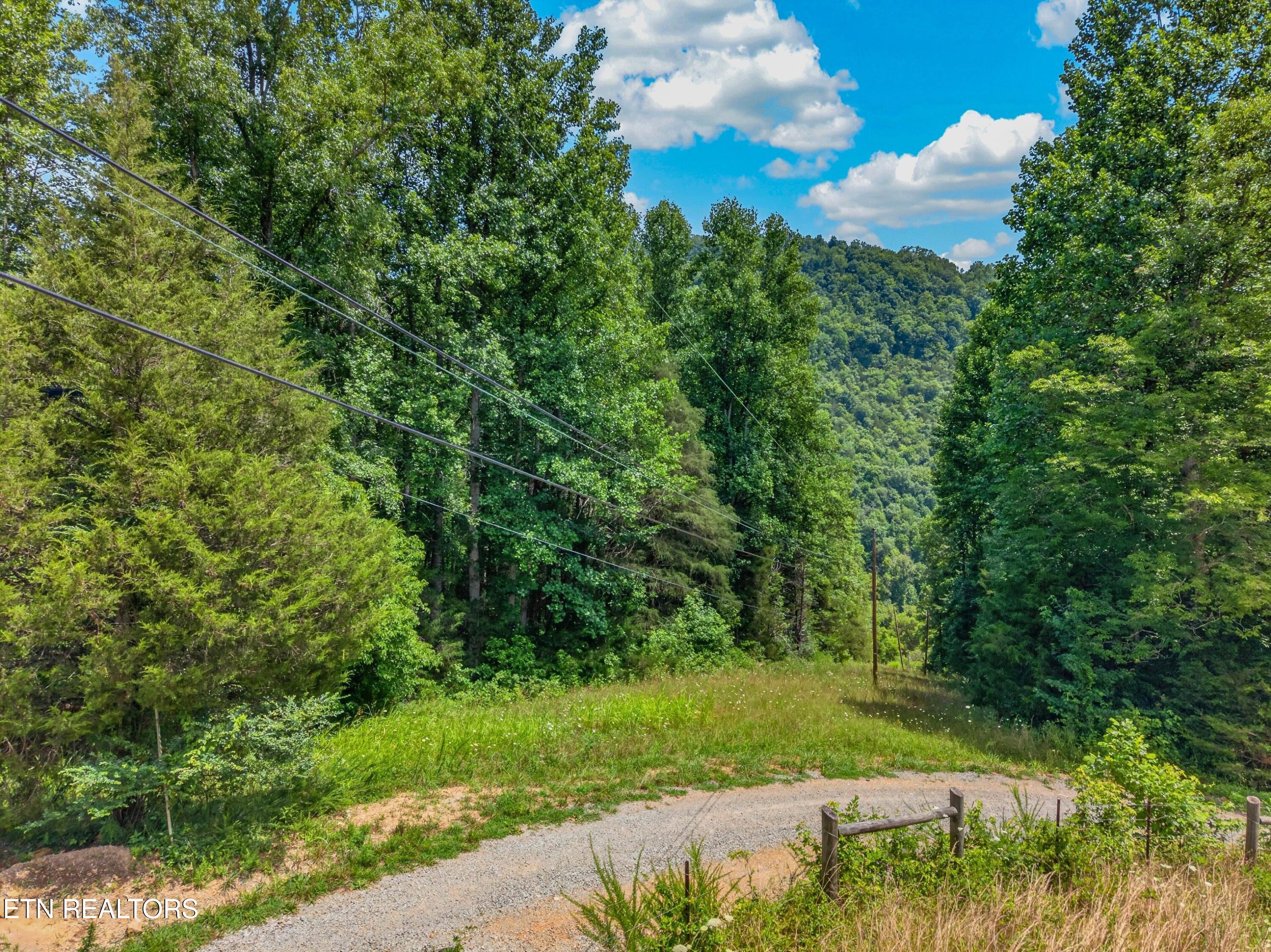 Tbd Ferguson Ridge Road Tazewell, TN 37879 - Photo 16 of 42 030
