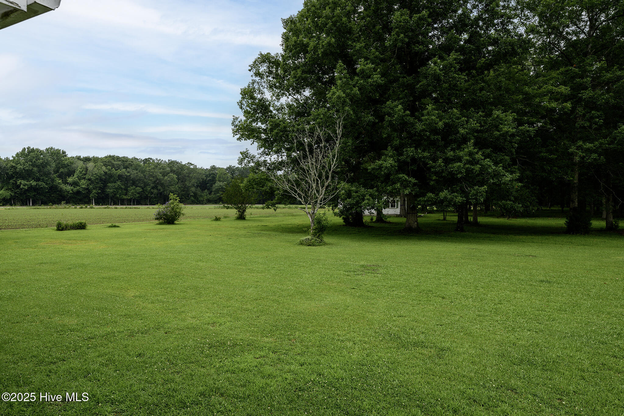 205 Hudnell Road Vanceboro, NC 28586 - Photo 60 of 71 205 Hudnell Road, Ernul, NC 28527