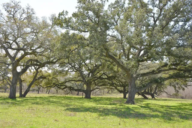 $21,848,480 | 706 Grand Oaks Lane, Brenham, TX 77833