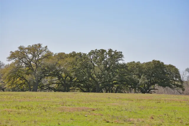 $21,848,480 | 706 Grand Oaks Lane, Brenham, TX 77833