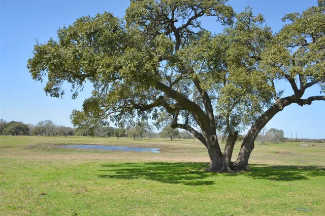 $21,848,480 | 706 Grand Oaks Lane, Brenham, TX 77833