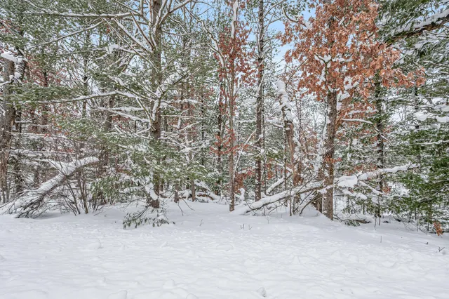 $8,900 | 1 Bradby Boulevard, Baldwin, MI 49304