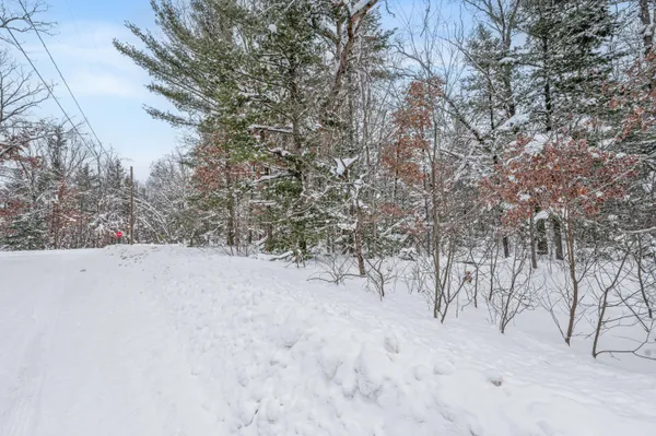 $8,900 | 1 Bradby Boulevard, Baldwin, MI 49304