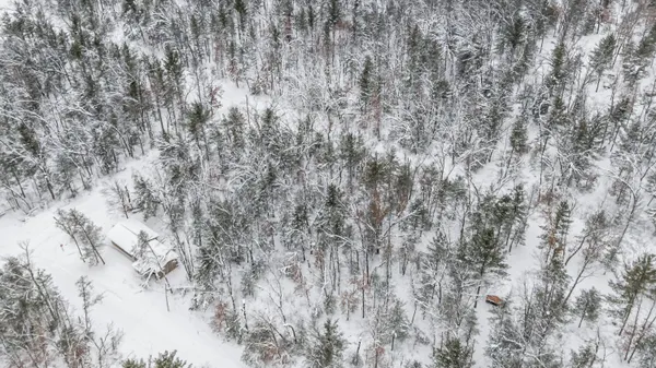 $8,900 | 1 Bradby Boulevard, Baldwin, MI 49304