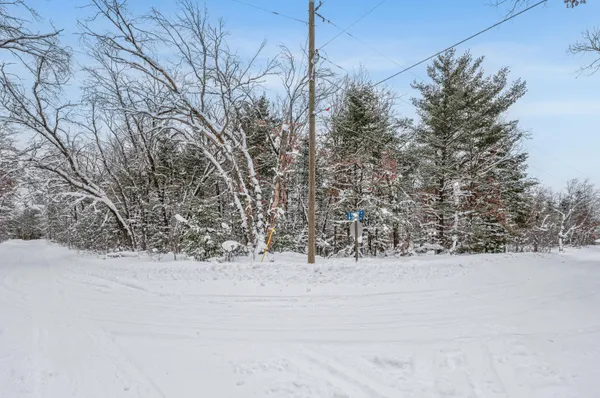 $8,900 | 1 Bradby Boulevard, Baldwin, MI 49304