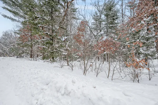 $8,900 | 1 Bradby Boulevard, Baldwin, MI 49304