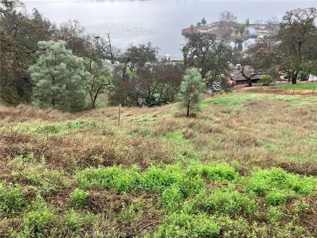 a view of a yard with a tree
