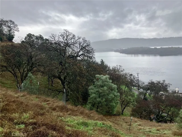 a view of a large body of water with lots of trees