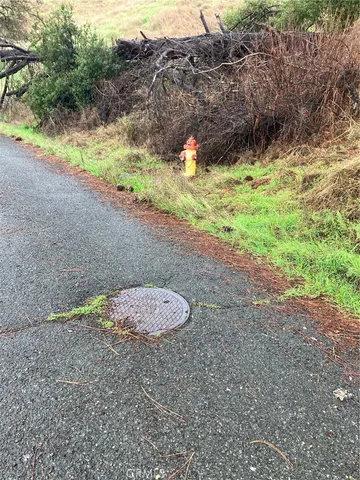 a view of a yard with a plants