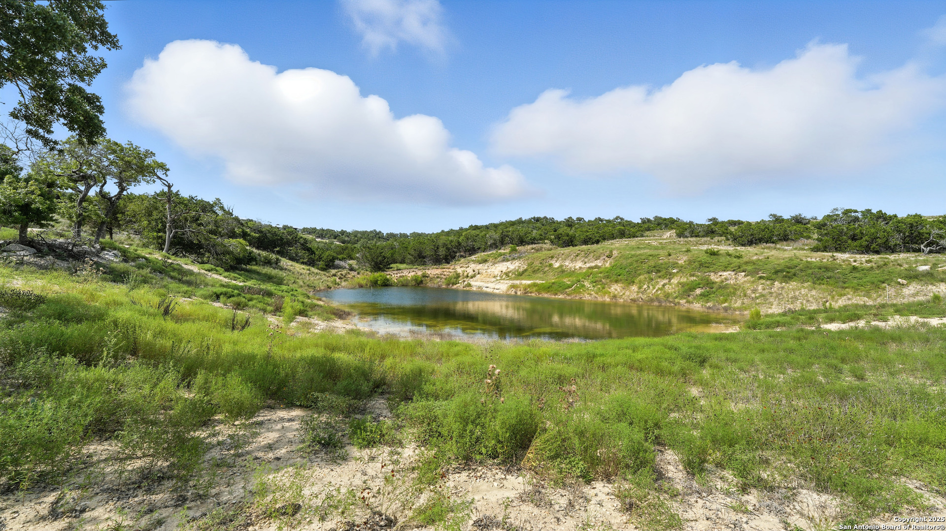 340 West Starview Cove Blanco, TX 78606 - Photo 12 of 25 a view of lake with green space