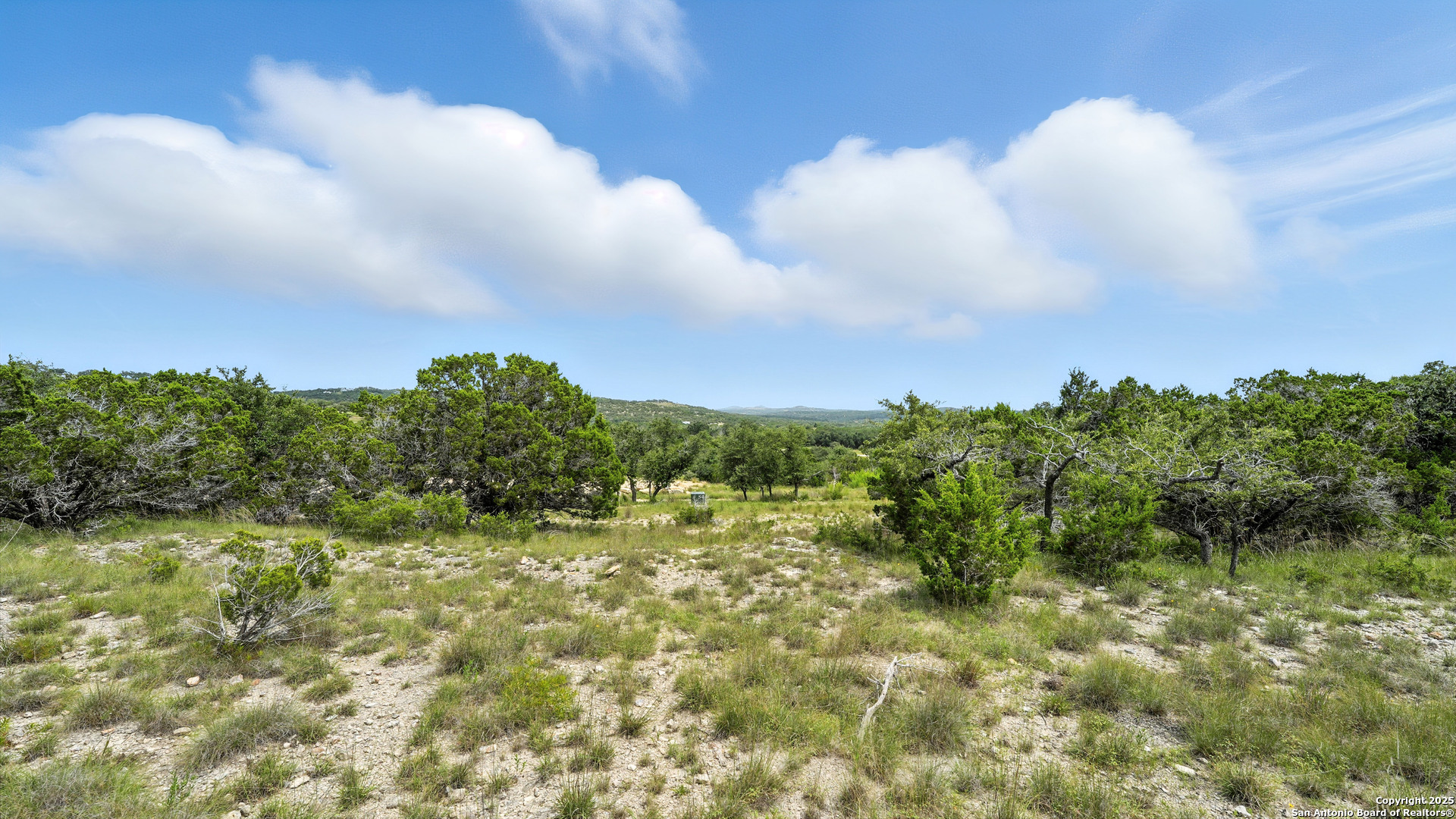 340 West Starview Cove Blanco, TX 78606 - Photo 22 of 25 a view of a bunch of trees in a field