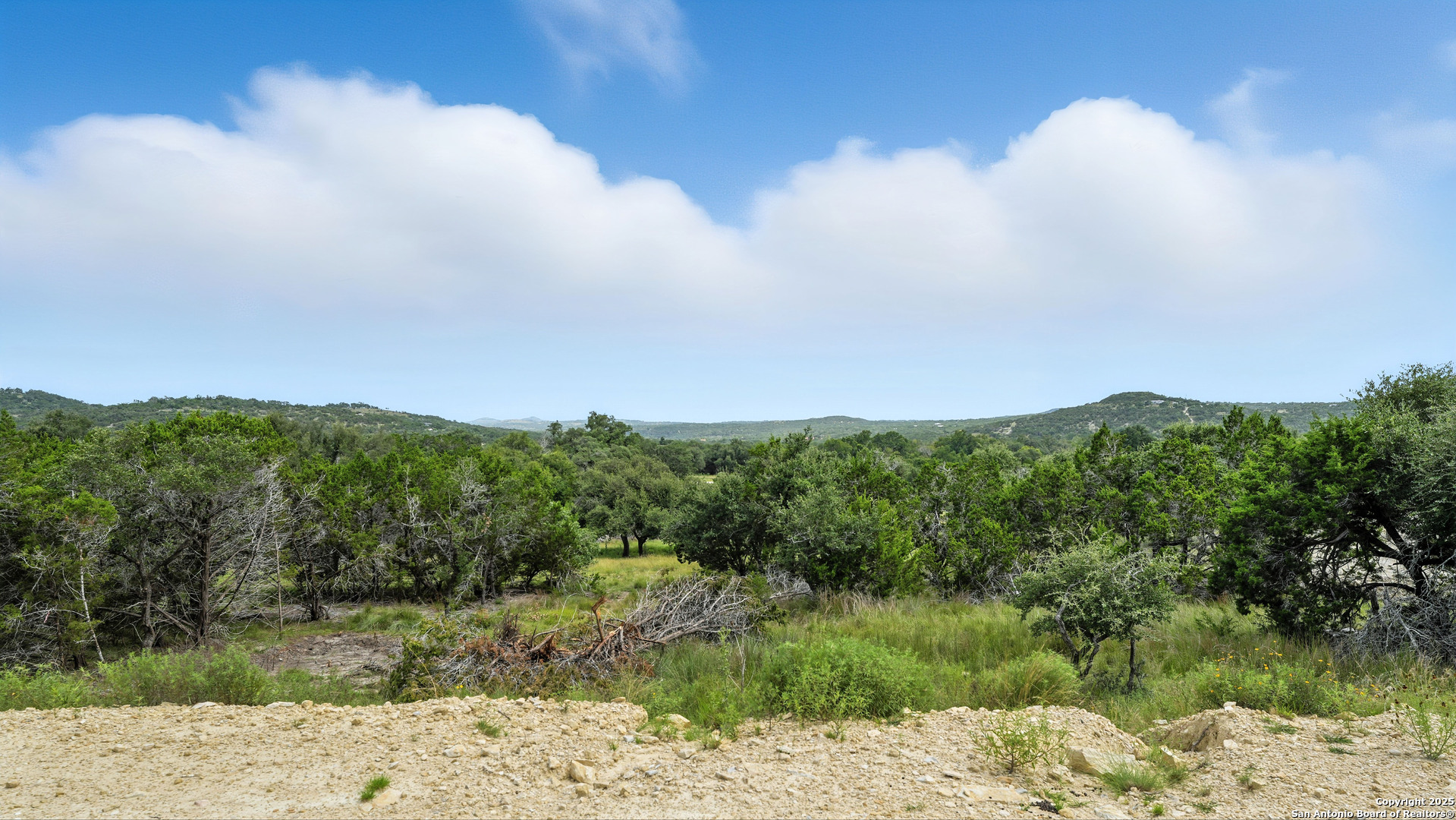 340 West Starview Cove Blanco, TX 78606 - Photo 23 of 25 a view of a bunch of trees in a field