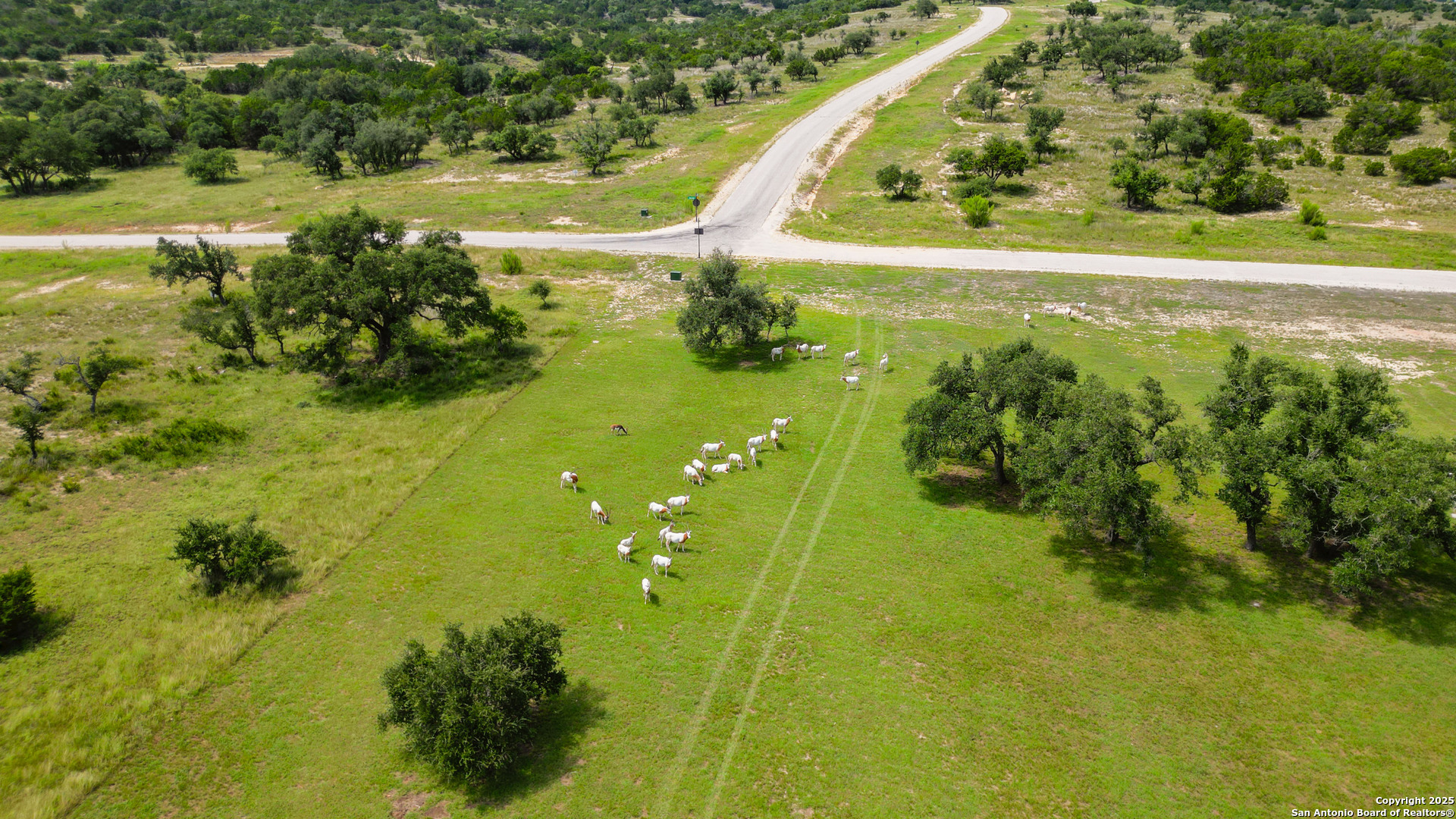 340 West Starview Cove Blanco, TX 78606 - Photo 25 of 25 a view of a lake with a big yard